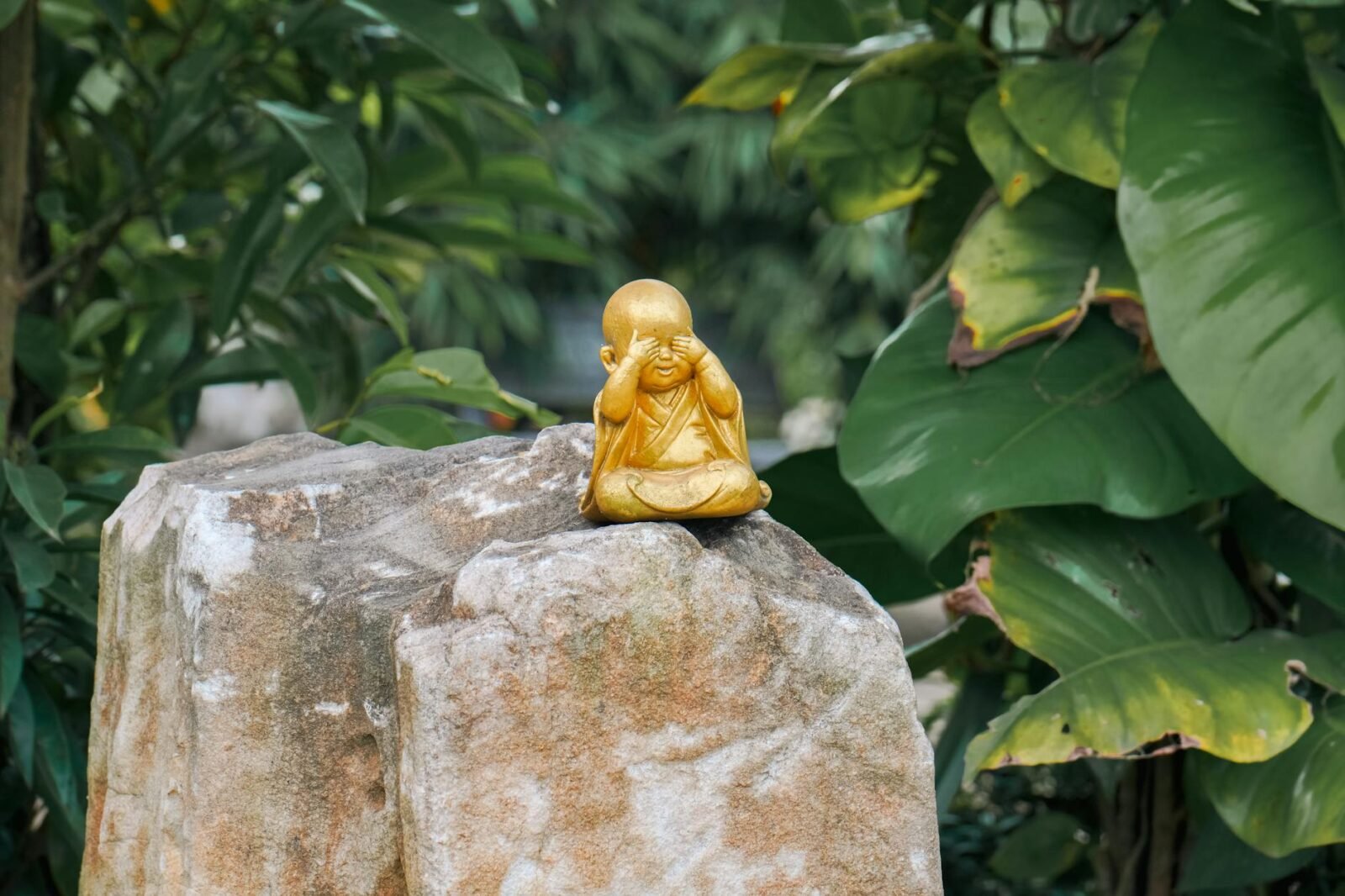 A small golden Buddha statue rests peacefully on a large rock amidst lush green foliage, symbolizing serenity.