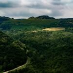 Beautiful landscape of the lush green hills in Caraș-Severin County, Romania.