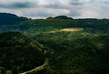 Beautiful landscape of the lush green hills in Caraș-Severin County, Romania.